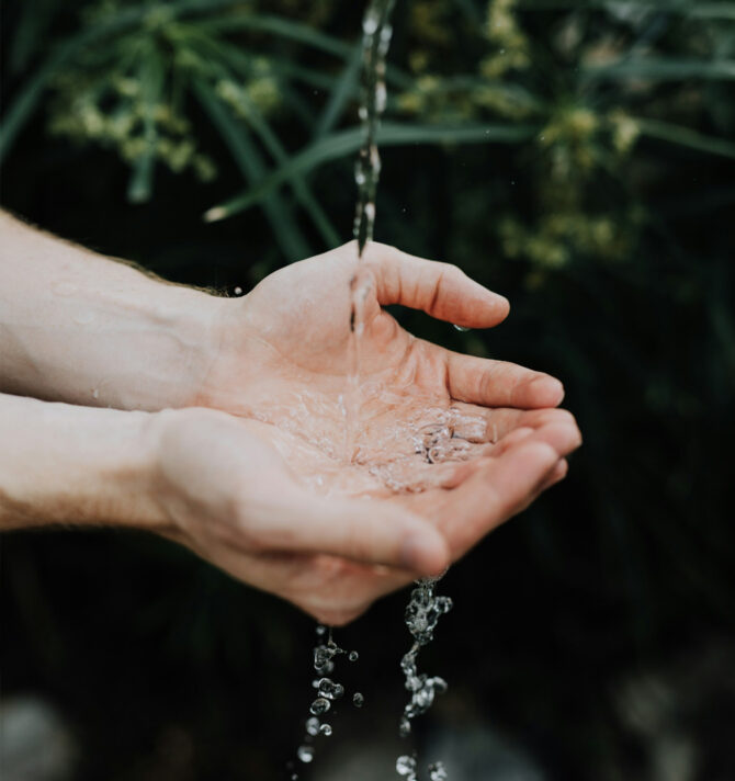 Mains tendues pour recueillir de l'eau sur un fond de plantes sauvages